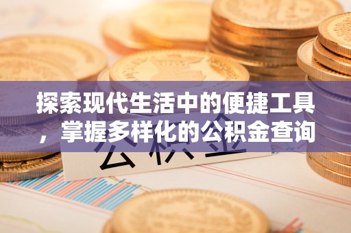 邵阳探索现代生活中的便捷工具，掌握多样化的公积金查询方式