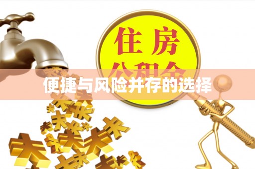邵阳便捷与风险并存的选择