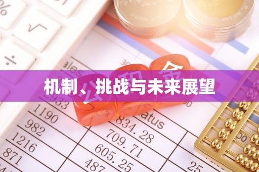 邵阳机制、挑战与未来展望