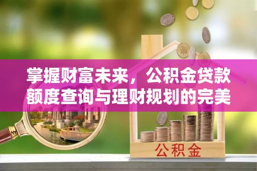 邵阳掌握财富未来，公积金贷款额度查询与理财规划的完美结合