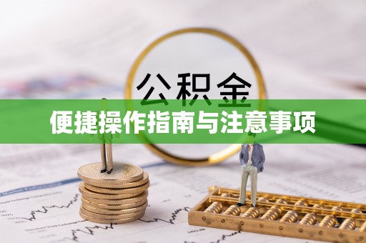邵阳便捷操作指南与注意事项