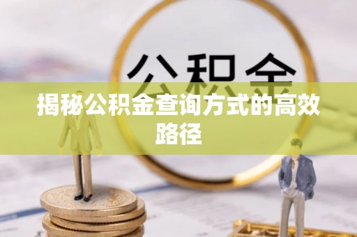 邵阳揭秘公积金查询方式的高效路径