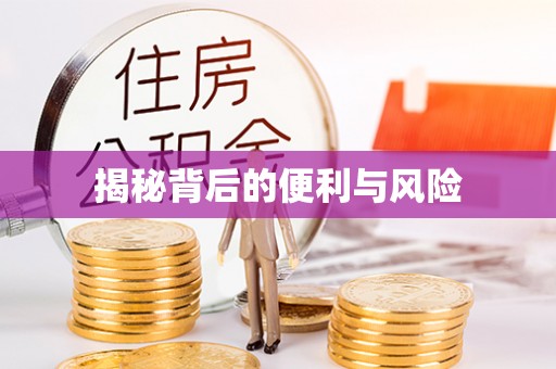 邵阳揭秘背后的便利与风险